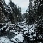 Verschneite Schlucht mit einem Fluss, umgeben von dichten Wäldern in den Sooke Potholes.