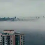 Blick auf Nebel, der über einen Wald und Häuser in Coquitlam liegt