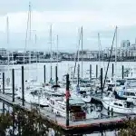 Yachthafen in Victoria, British Columbia, mit Segelbooten und Motorbooten im ruhigen Wasser, umgeben von modernen Gebäuden und einer Hafenkulisse.