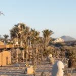 Palmen und Villengrundstücke am Strand von Todos Santos