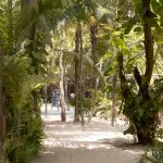 bepflanzter Sandweg am Tulum Beach