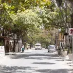 Hauptstraße am Tulum Beach mit Boutiquen am Straßenrand mit Bäumen und Pflanzen