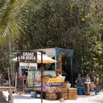 Stand an der Straße mit Mangos