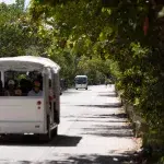Shuttle Bus der Gäste zur Archäologischen Zone von Tulum fährt