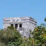 Turm einer Maya Ruine umgeben von Bäumen und Pflanzen