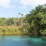 Blick auf die blaue Cenote mit Blick auf Gras und Bäume