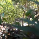 Schild zur Cenote Mariposa