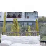 Sitzbank und Kakteen auf einer Dachterrasse