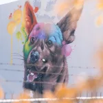 Farbenfrohes Mural eines Hundes mit bunten Farbklecksen auf weißer Wand – aufgenommen durch einen Zaun mit Unschärfe im Vordergrund.