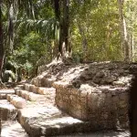 Fundament einer Maya Ruine inmitten eines Dschungels