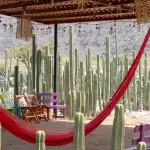 Hängematten, Stühle und Kakteen der Destilería Tierra de Jaguar