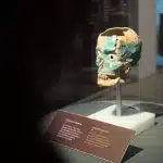 Menschenschädel teils mit Mosaik verziert