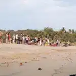 Menschenreihe, die Baby-Schildkröten am Strand entlassen