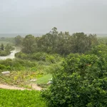 Blick auf den Sundays River umgeben von grüner Landschaft bei Regen