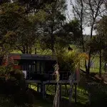 Bungalow von Buff & Fellow am Teich