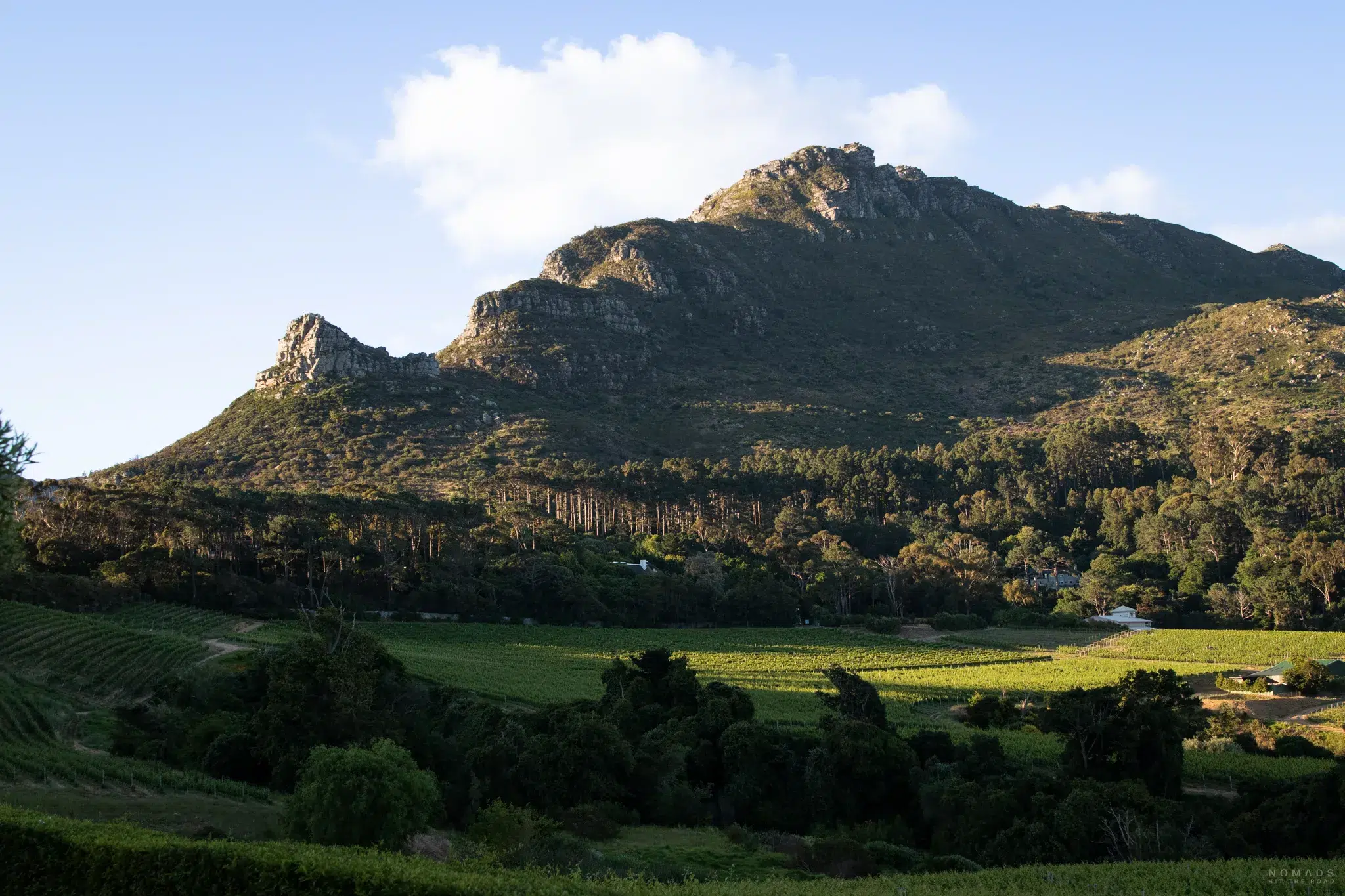 Blick auf Berg über Weinreben hinweg in Südafrika
