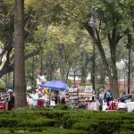Souvenir Stände am Park in Coyoacan