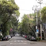 Straße in Roma Norte mit Gebäuden, parkenden Autos und grünen Bäumen