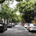 Straße gesäumt von Bäumen und parkenden Autos in Mexiko-Stadt