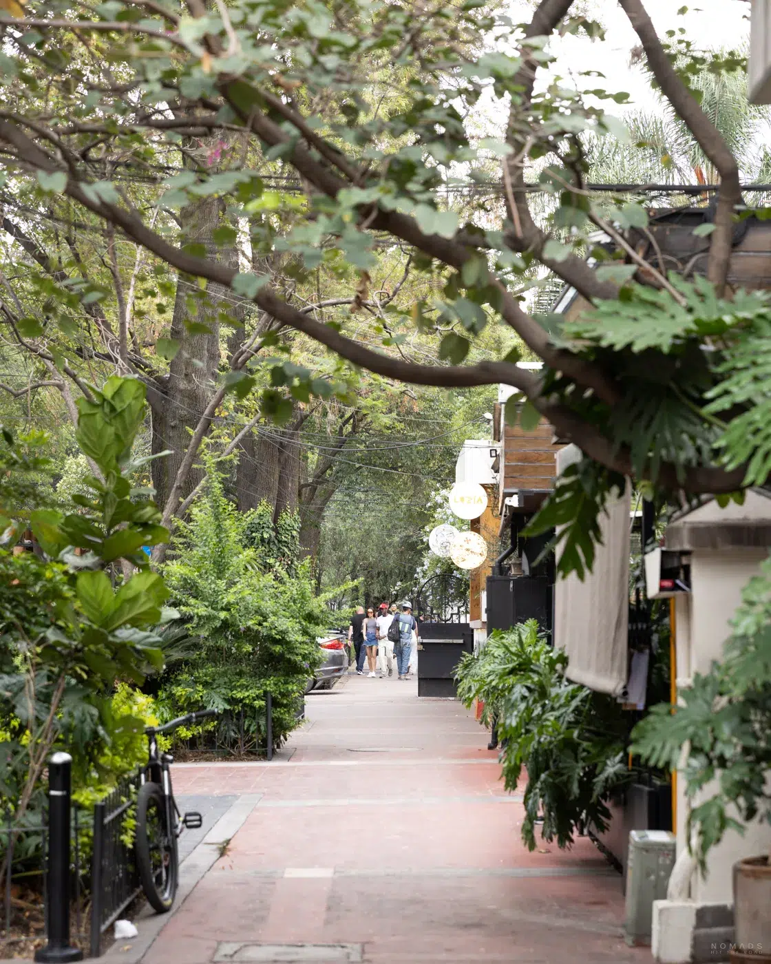 Fußweg in Polanco, Mexiko City – grüne Straße mit Boutiquen, Cafés und Passanten im Hintergrund