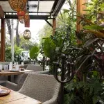 Gemütliche Terrasse eines Restaurants in Polanco mit Korbmöbeln, Pflanzen und hölzernem Interieur