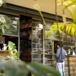 Der Eingangsbereich eines charmanten Cafés oder einer Bäckerei ("PANADERIA") in Mexiko-Stadt, gesehen durch grüne Blätter im Vordergrund. Eine Person steht im Freien vor der großen Fensterfront und blickt hinein, während im Inneren weitere Personen und Backwaren zu sehen sind.