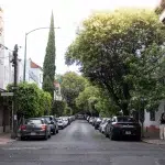 Eine ruhige, von Bäumen gesäumte Straße im Viertel Condesa von Mexiko-Stadt. Entlang beider Seiten der Straße sind Autos geparkt, und im Hintergrund sind Gebäude und üppiges Grün zu sehen. Die Straße ist sauber und gepflegt, mit einem langen, schlanken Baum, der in der Ferne emporragt und einen charakteristischen Punkt bildet. Am rechten Bildrand steht schemenhaft eine Person am Gehweg.