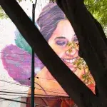 Ein großer Wandgemälde in Mexiko-Stadt zeigt das lächelnde Gesicht einer Frau mit dunklen Haaren und einem farbenfrohen Kaktus im Hintergrund. Das Kunstwerk ist teilweise von den Ästen und dem Stamm eines Baumes verdeckt, der im Vordergrund steht. Das Gemälde ist lebendig und detailreich und spiegelt die lokale Kultur wider.