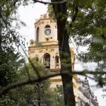 Der obere Teil des Glockenturms der Iglesia de San Juan Bautista in Coyoacán, Mexiko-Stadt, der durch dichte Baumkronen hindurch sichtbar ist. Der Turm ist hellgelb mit rötlichen Akzenten und besitzt ein Zifferblatt sowie offene Bögen, in denen Glocken hängen.