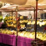 Eine Nahaufnahme eines Standes auf einem belebten Markt, dem Tianguis los Martes, mit einer großen Auswahl an frischem Obst und Gemüse, darunter leuchtend rote Tomaten, grüne Chilis und verschiedene andere Produkte, die ordentlich aufgereiht sind.