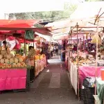 Ein bunter Marktstand auf dem Tianguis los Martes, der eine Vielzahl von getrockneten Chilis und Gewürzen in großen Säcken und Behältern präsentiert. Im Hintergrund sind weitere Marktstände und das geschäftige Treiben des Marktes zu erkennen.
