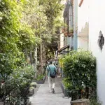 Fußgänger läuft durch eine grüne, ruhige Seitenstraße im Viertel Condesa in Mexiko-Stadt