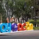 Farbenfrohe Coyoacán-Schrift im Zentrum des Viertels mit Bäumen und kolonialer Architektur im Hintergrund