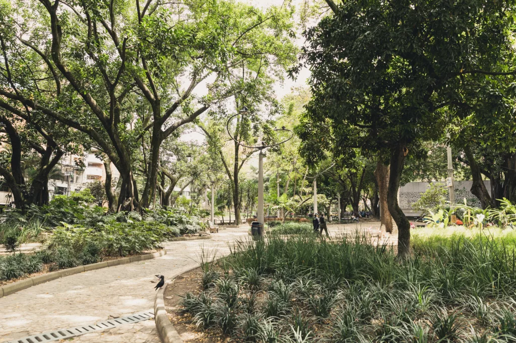 Grüner Park in Medellín mit verschlungenen Wegen, hohen Bäumen und dichter Vegetation – typische Szene aus dem Viertel Laureles.