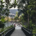 Blick auf einen grünen Park in Medellín mit Palmen und üppiger Vegetation, im Hintergrund die umliegenden Berge und Hochhäuser. Zahlreiche Menschen spazieren und genießen den Nachmittag.