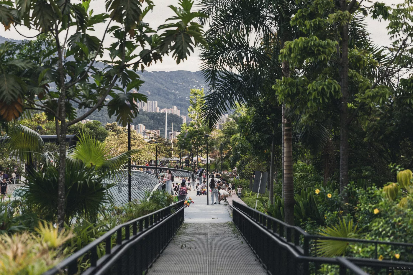 Blick auf einen grünen Park in Medellín mit Palmen und üppiger Vegetation, im Hintergrund die umliegenden Berge und Hochhäuser. Zahlreiche Menschen spazieren und genießen den Nachmittag.