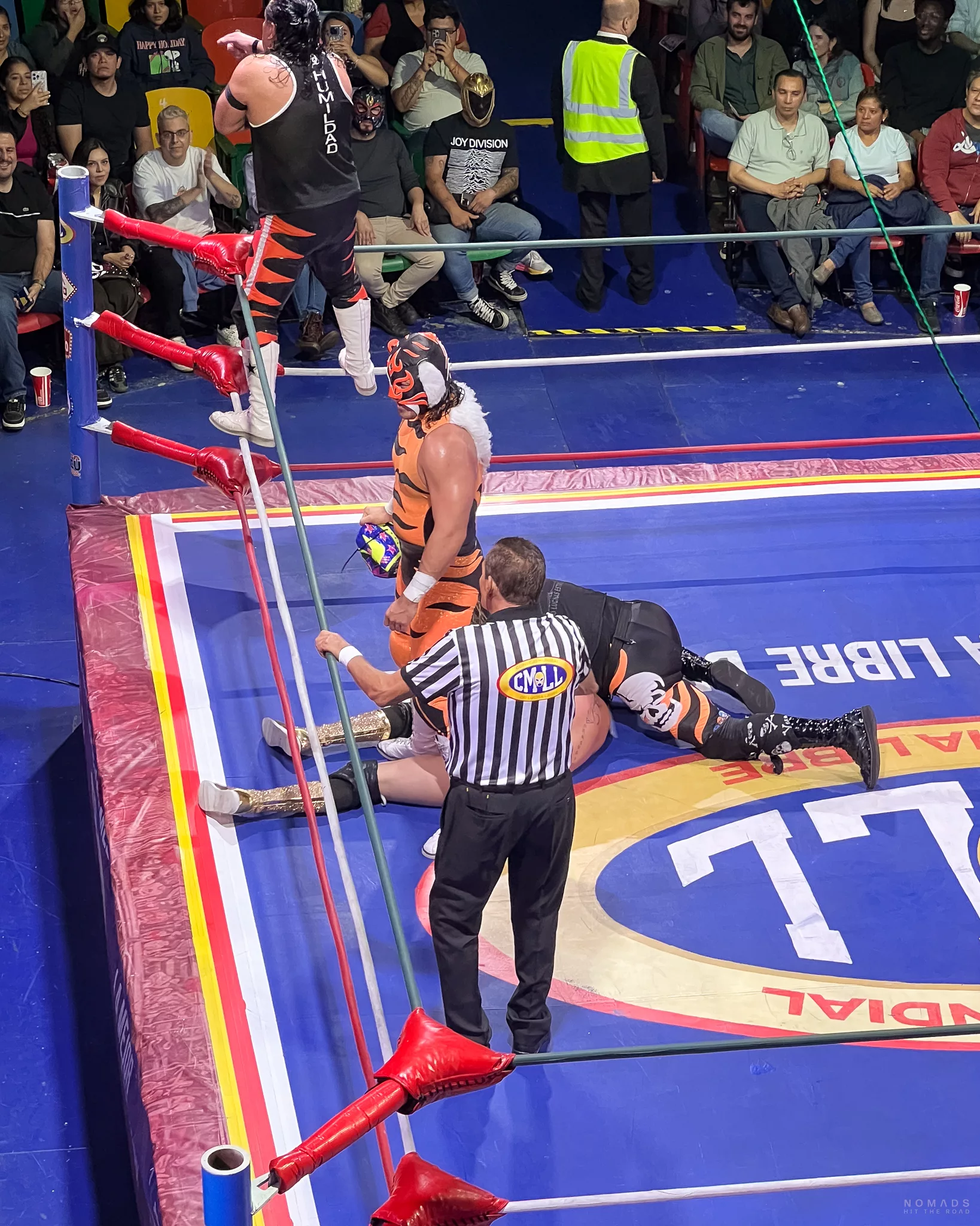 Luchadores beim Kämpfen im Ring, während einer am Boden liegt und festgehalten wird, daneben der Schiedsrichter