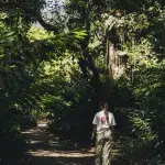 Spaziergang durch den Jardín Botánico Medellín – Pfad im Grünen mit dichter Vegetation