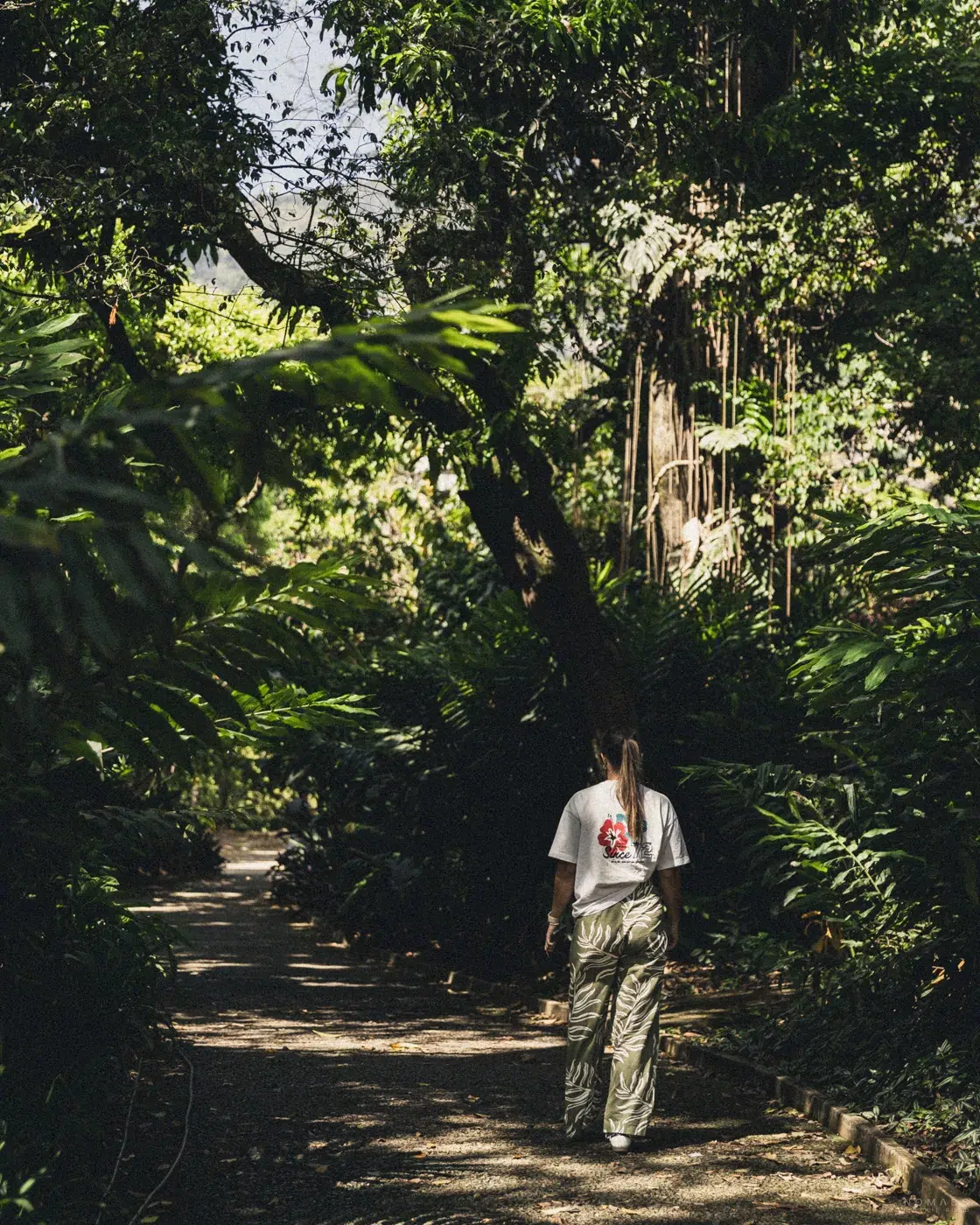 Spaziergang durch den Jardín Botánico Medellín – Pfad im Grünen mit dichter Vegetation