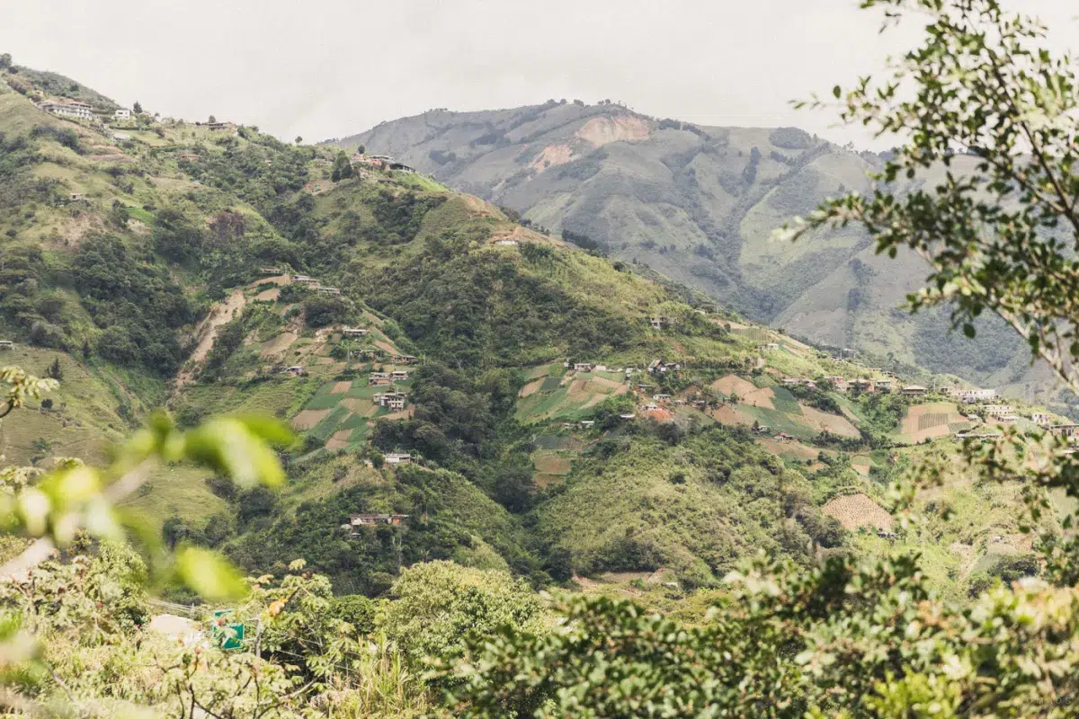 Blick auf die grünen Hügel und Kaffeeanbauflächen in Antioquia bei Medellín, Kolumbien