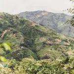Blick auf die grünen Hügel und Kaffeeanbauflächen in Antioquia bei Medellín, Kolumbien