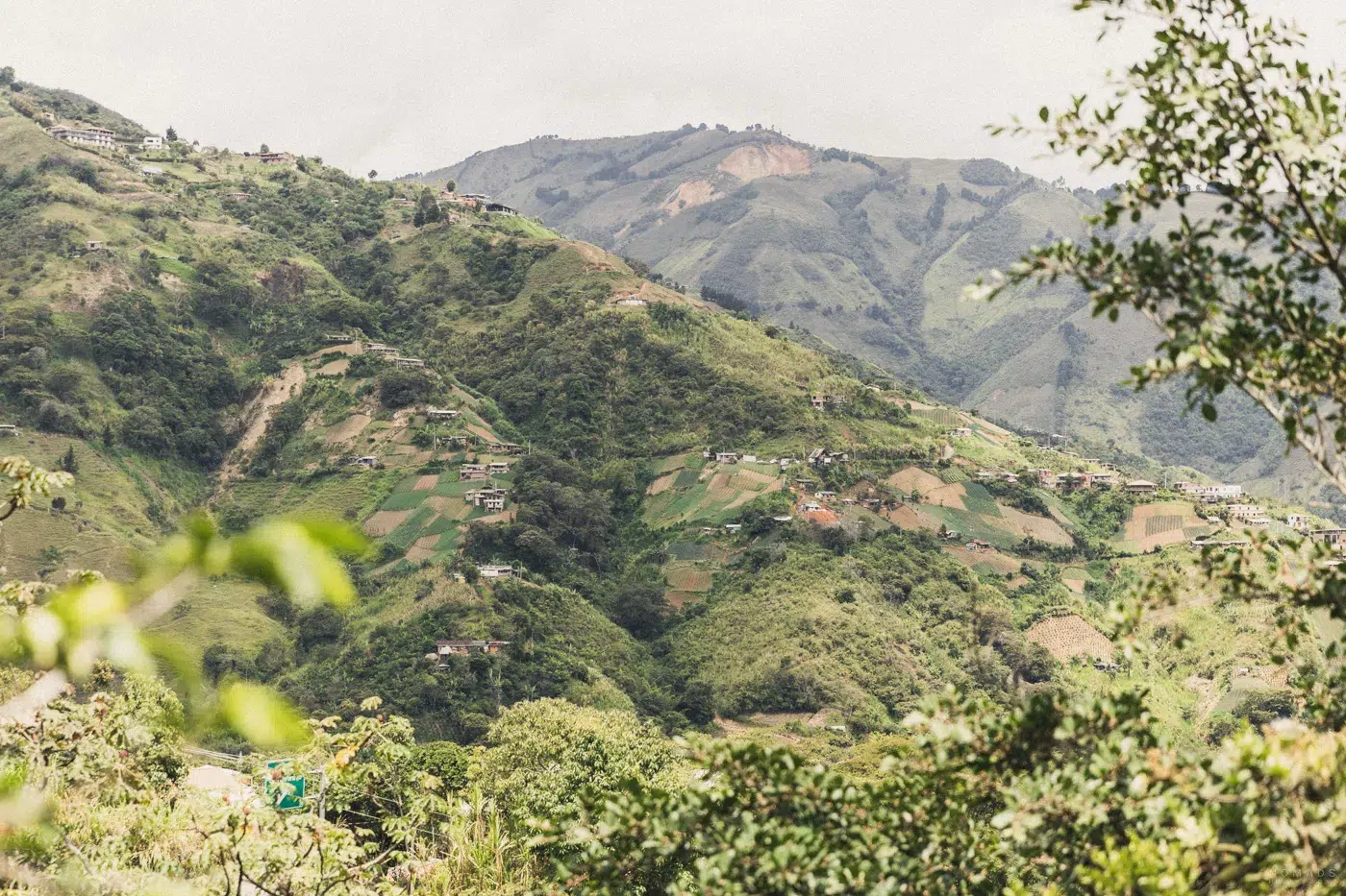 Blick auf die grünen Hügel und Kaffeeanbauflächen in Antioquia bei Medellín, Kolumbien