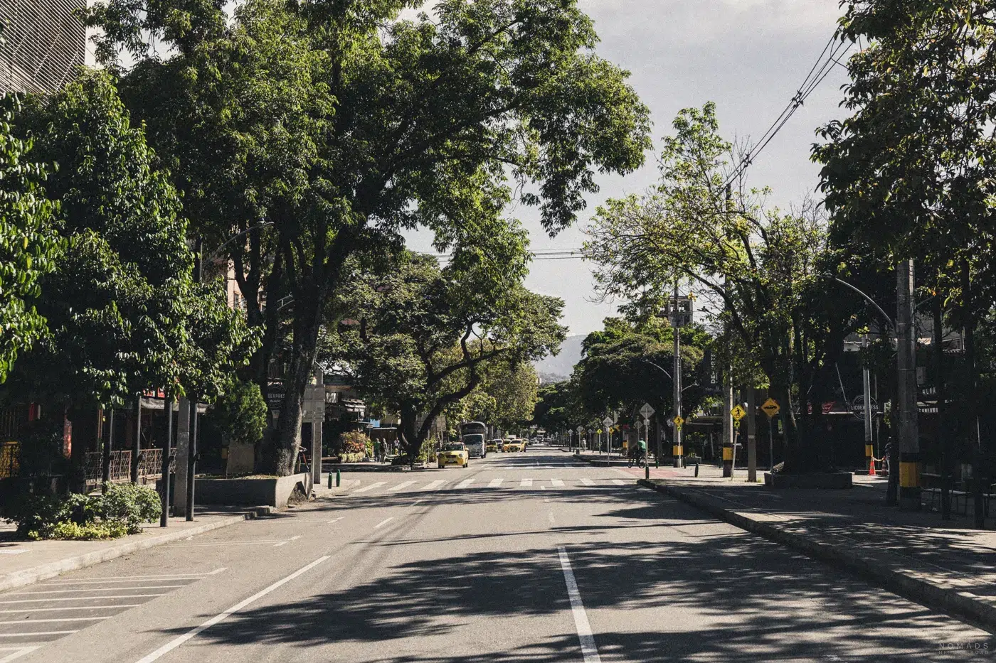 Breite, von Bäumen gesäumte Straße im Stadtteil Laureles in Medellín – ruhige Atmosphäre mit Schattenplätzen, kleinen Geschäften und Cafés.