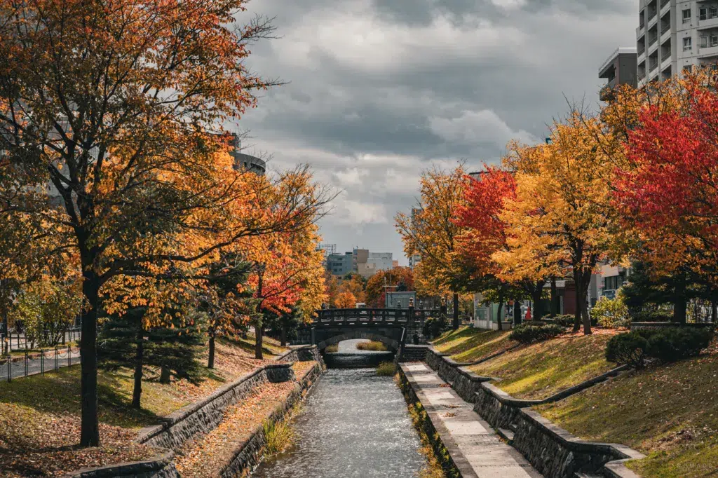 Herbstliche Flusslandschaft in Sapporo mit leuchtend roten, gelben und orangen Bäumen vor bewölktem Himmel.