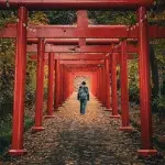 Person geht durch die roten Torii-Tore in Sapporo – der von Herbstlaub bedeckte Pfad führt durch einen stillen Wald.