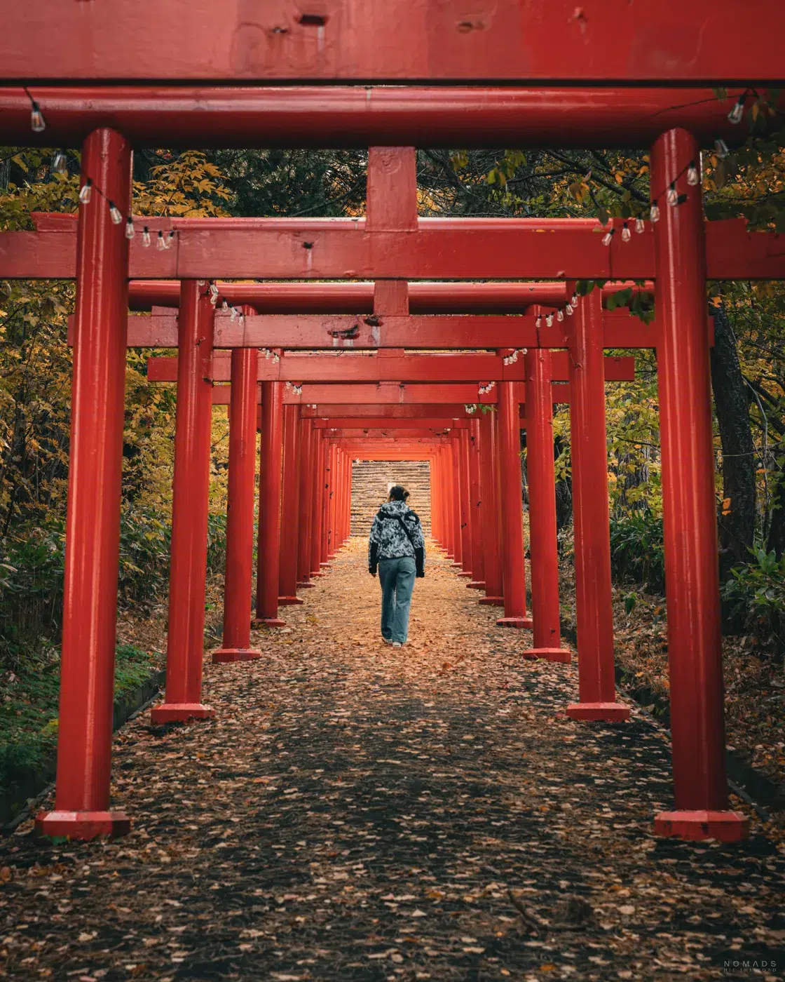 Person geht durch die roten Torii-Tore in Sapporo – der von Herbstlaub bedeckte Pfad führt durch einen stillen Wald.
