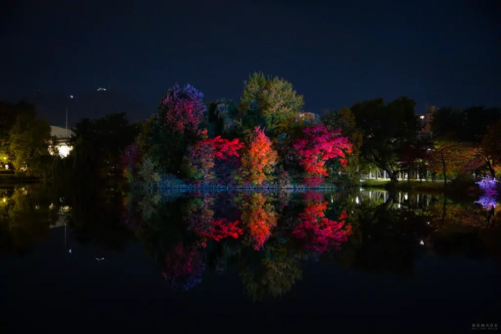 Beleuchtete Herbstbäume spiegeln sich nachts farbenfroh im Wasser des Nakajima Parks in Sapporo.