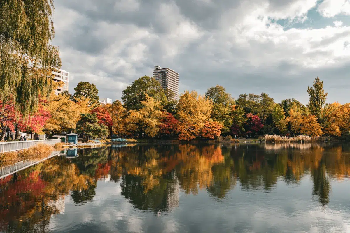 Herbstliche Bäume spiegeln sich im ruhigen Wasser des Nakajima Parks in Sapporo – ein beliebter Ort zum Spazierengehen mitten in der Stadt.