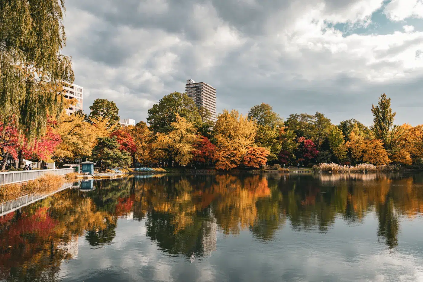 Herbstliche Bäume spiegeln sich im ruhigen Wasser des Nakajima Parks in Sapporo – ein beliebter Ort zum Spazierengehen mitten in der Stadt.