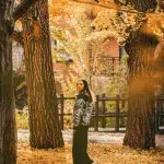 Frau spaziert durch einen mit goldenen Ginkgoblättern bedeckten Parkweg in Sapporo – herbstliche Stimmung pur.